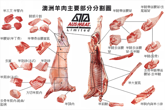 澳洲羊肉主要部分分割圖